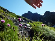 Un gran bel ‘divertente’ Pizzo di Cigola (2632 m) il 31 luglio 2014